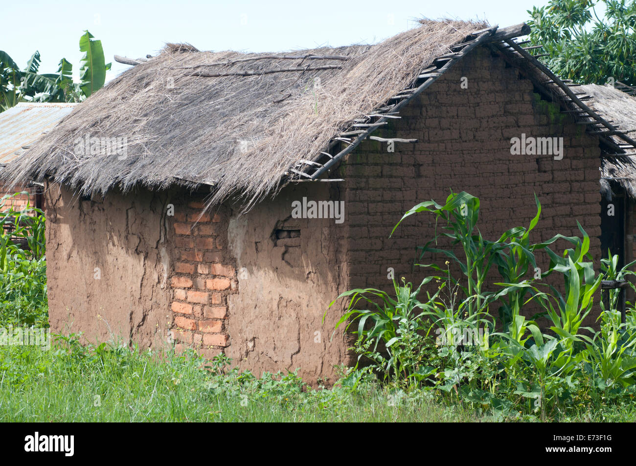 Picture of an African  village hut in Kitulo in Tanzania Stock Photo