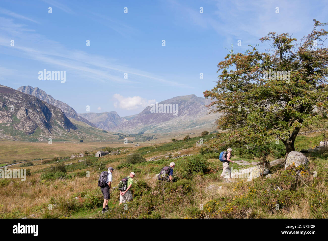 Walkers hiking in the Ogwen Valley in Snowdonia National Park, Capel Curig, Conwy. North Wales, UK, Britain Stock Photo