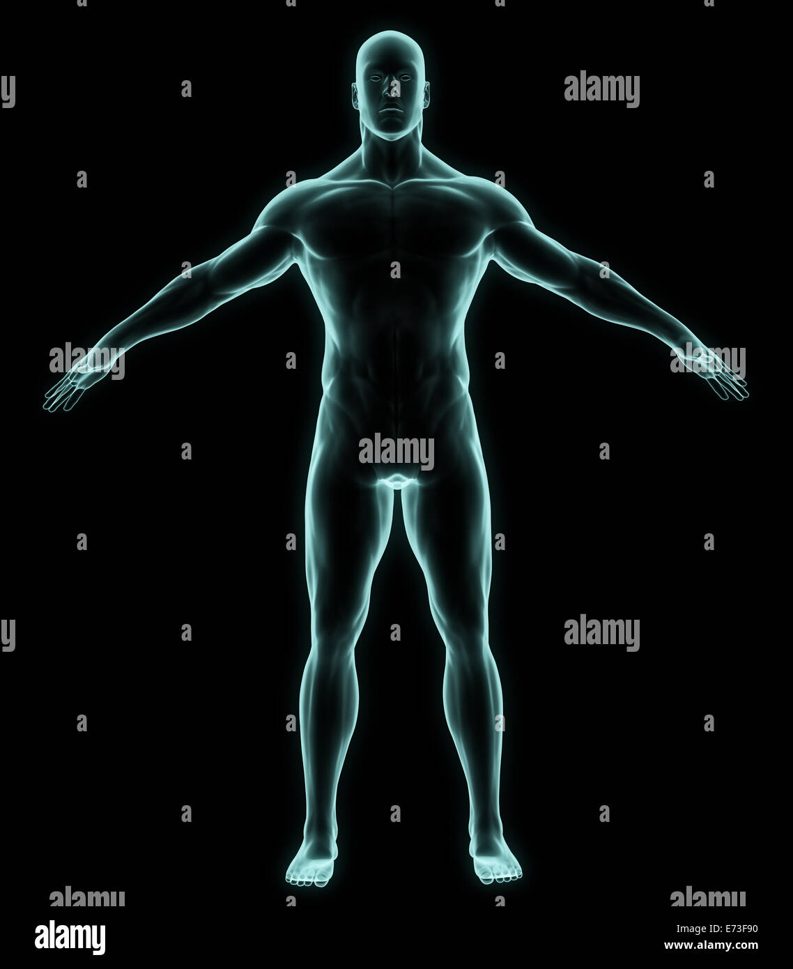X-ray human full body in brightness blue on black background Stock ...