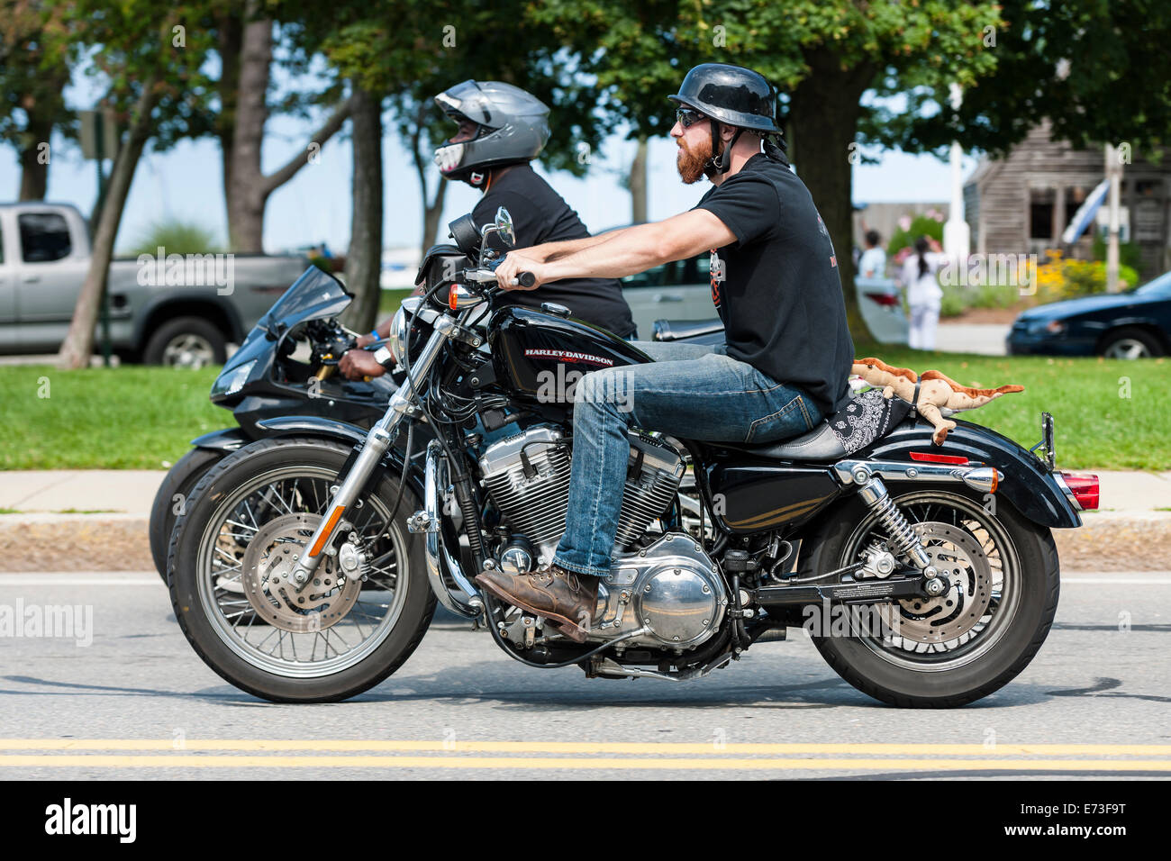 Harley Davidson Rider Stock Photo