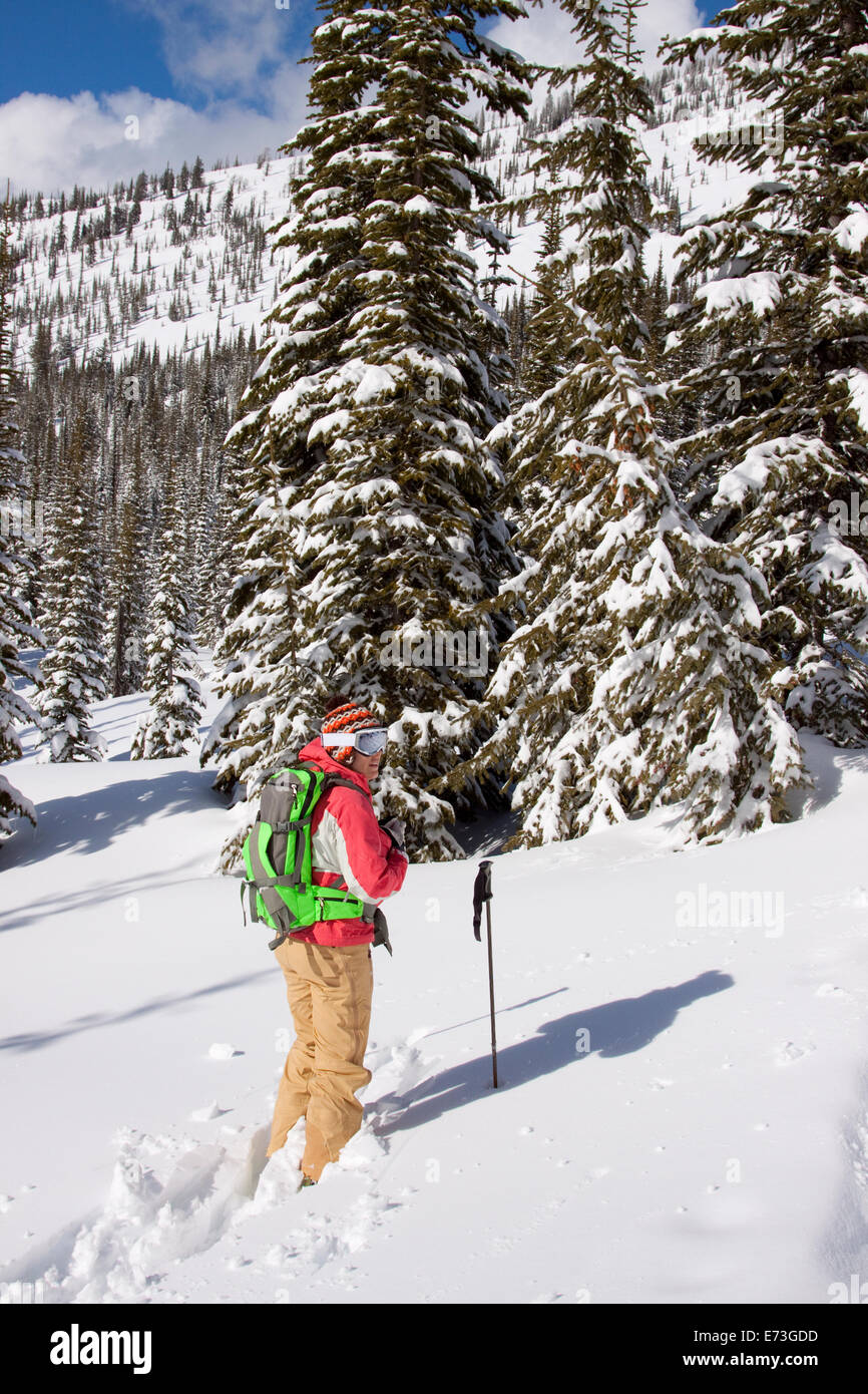 A female backcountry skier near Ymir, British Columbia Stock Photo Alamy