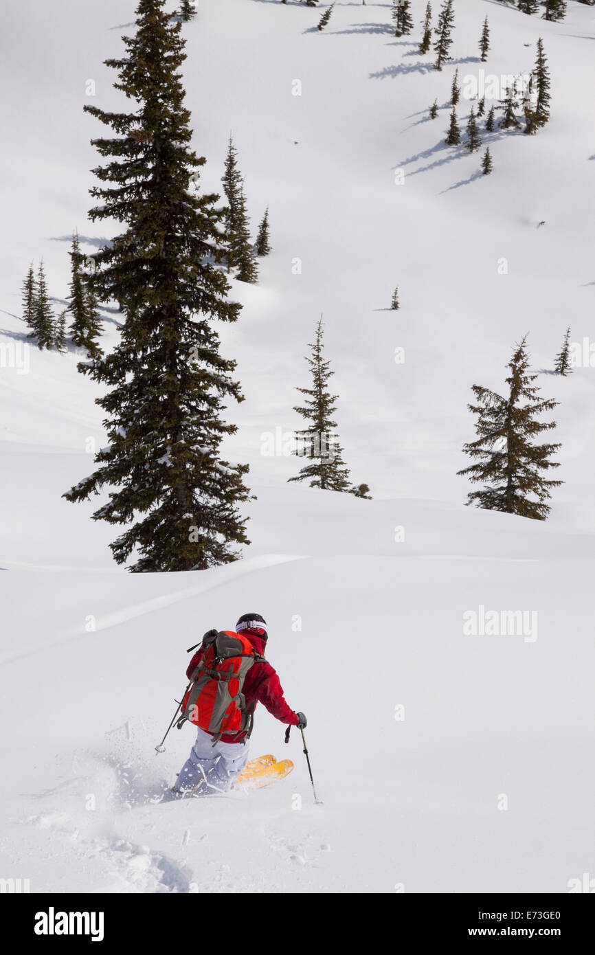 A backcountry skier near Ymir, British Columbia Stock Photo Alamy