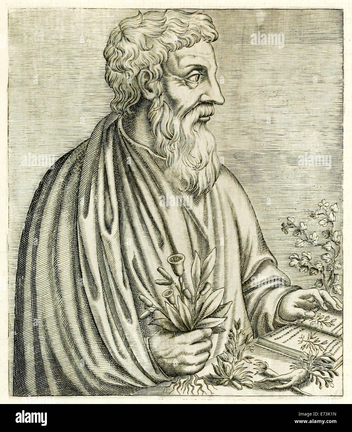 Pedanius Dioscorides (40-90AD) from “True Portraits…” by André Thévet published in 1594. See description for more information. Stock Photo