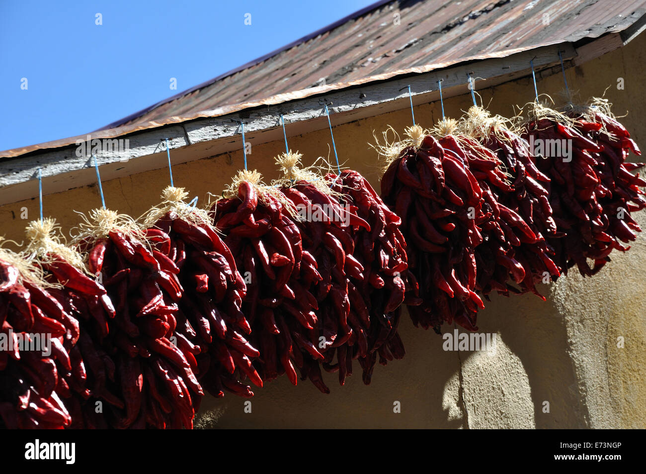Chili peppers drying in downtown Albuquerque, New Mexico, USA Stock Photo