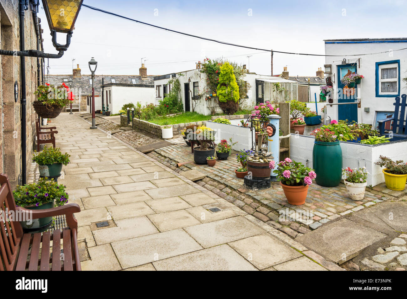 FOOTDEE OR FISHING VILLAGE IN ABERDEEN HARBOUR TYPICAL GARDENS AND