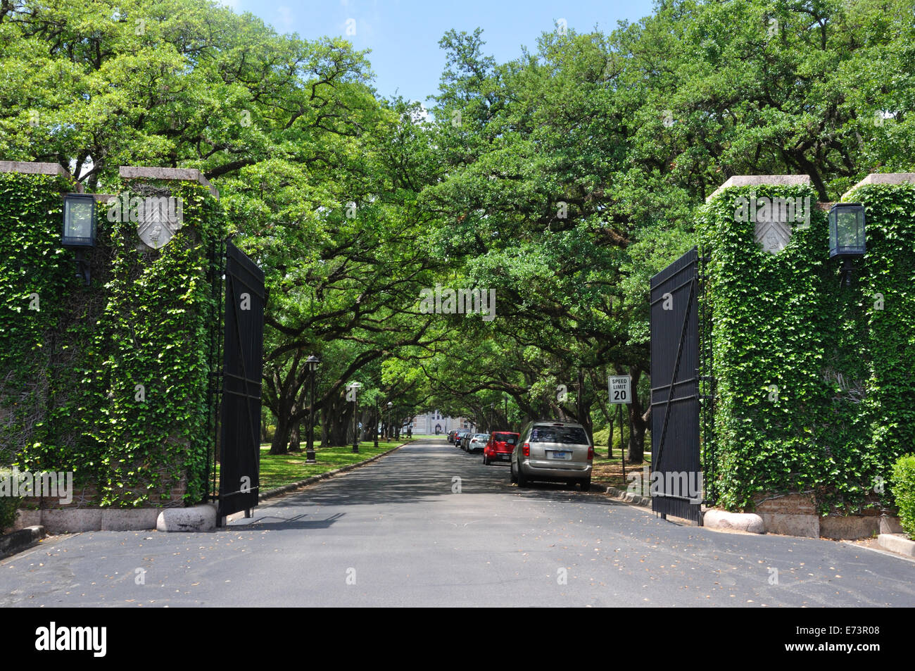 Rice university campus hires stock photography and images Alamy