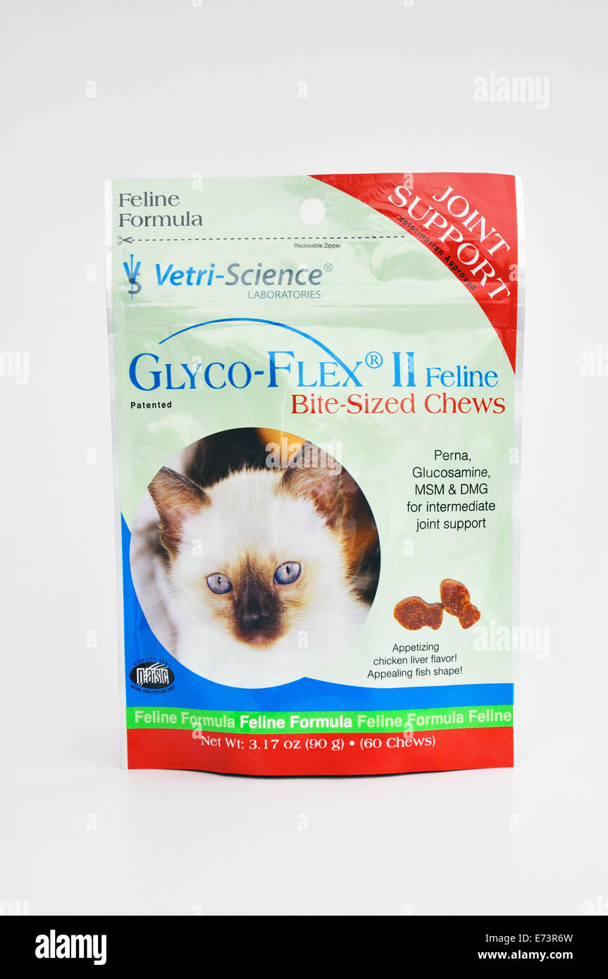 Joint support for cats Stock Photo Alamy