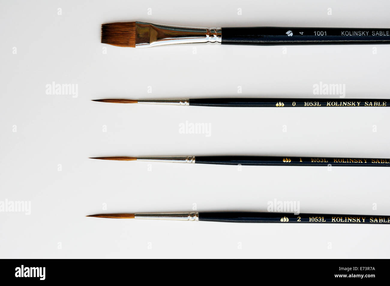 Nine different paint brushes, including round, flat
