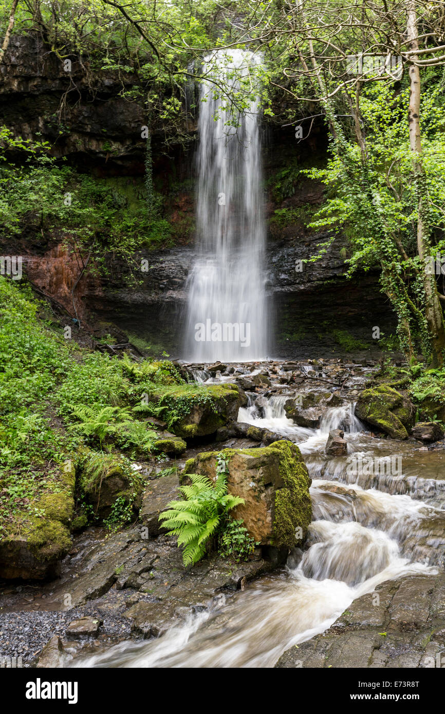 Waterfall, Clydach Gorge, Wales, UK Stock Photo
