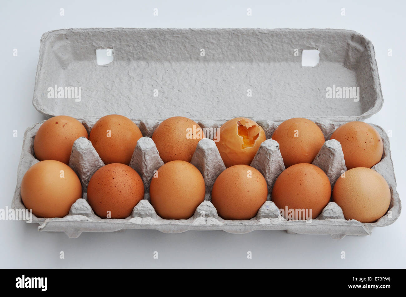 Dozen of eggs with one broken egg Stock Photo