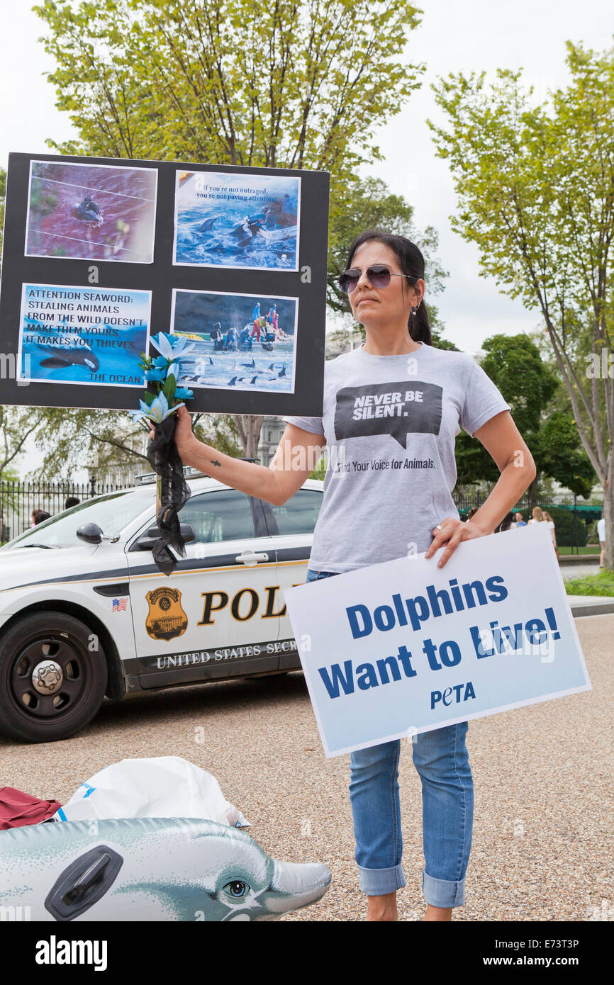 PETA members protesting in front of the White House against Japanese dolphin fishing - Washington, DC USA Stock Photo