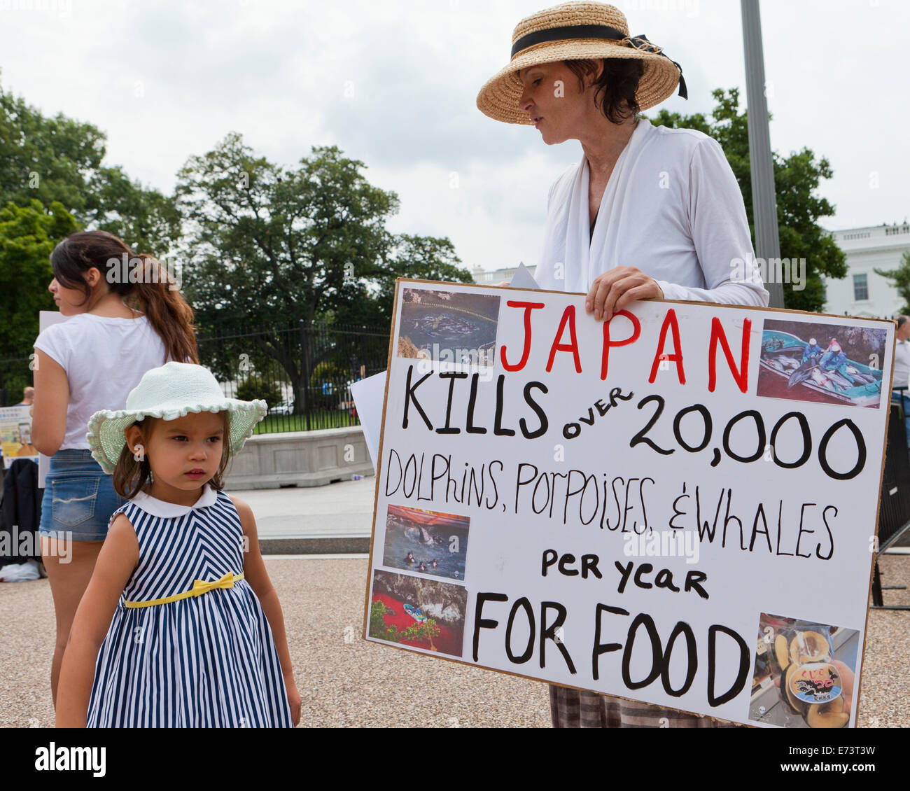 PETA members protesting in front of the White House against Japanese dolphin fishing - Washington, DC USA Stock Photo