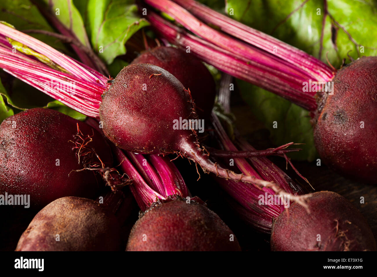 Raw Organic Red Beets Ready To Eat Stock Photo