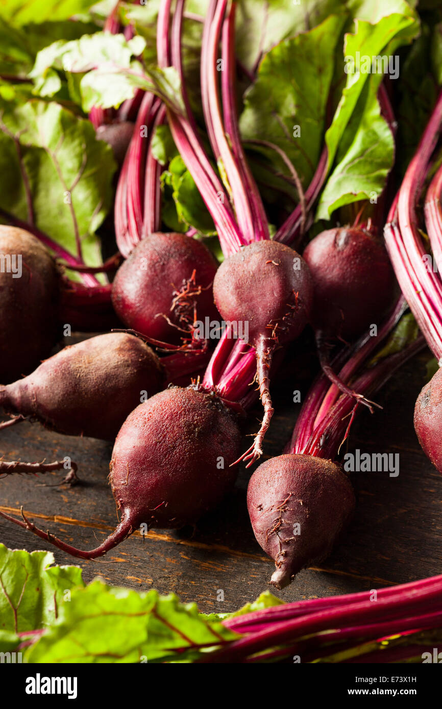 Raw Organic Red Beets Ready To Eat Stock Photo Alamy