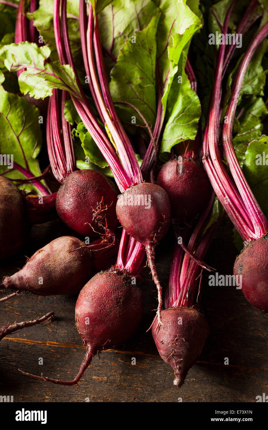 Raw Organic Red Beets Ready To Eat Stock Photo