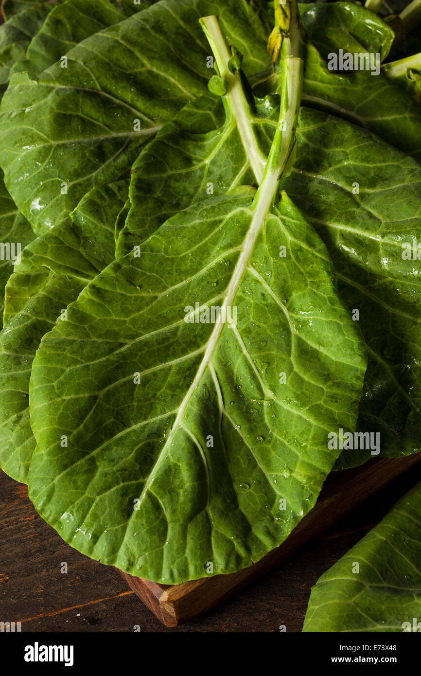 Fresh Organic Collard Greens Vegetable - Stock Illustration [103626014]  - PIXTA