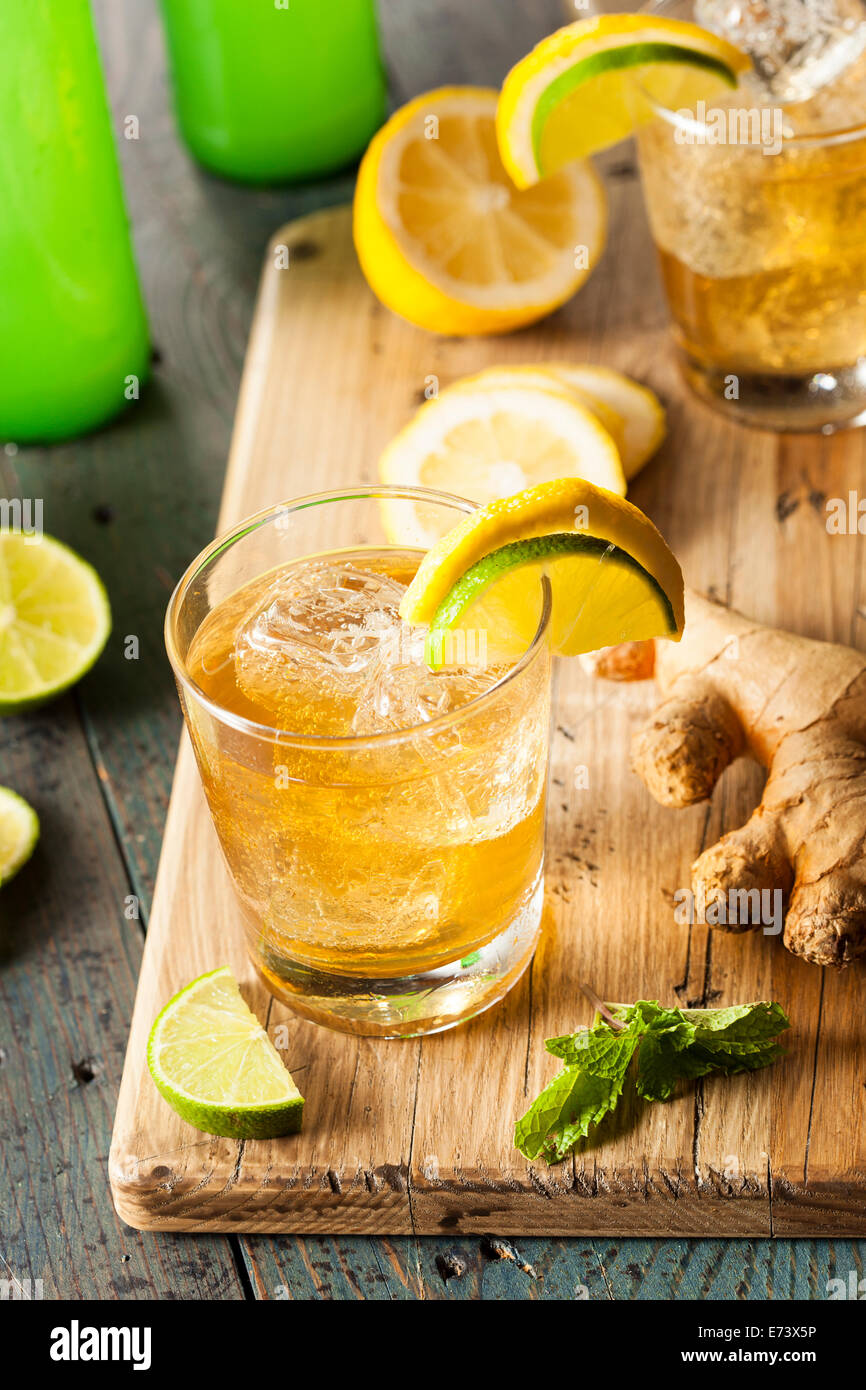 Organic Ginger Ale Soda in a Glass with Lemon and Lime Stock Photo Alamy