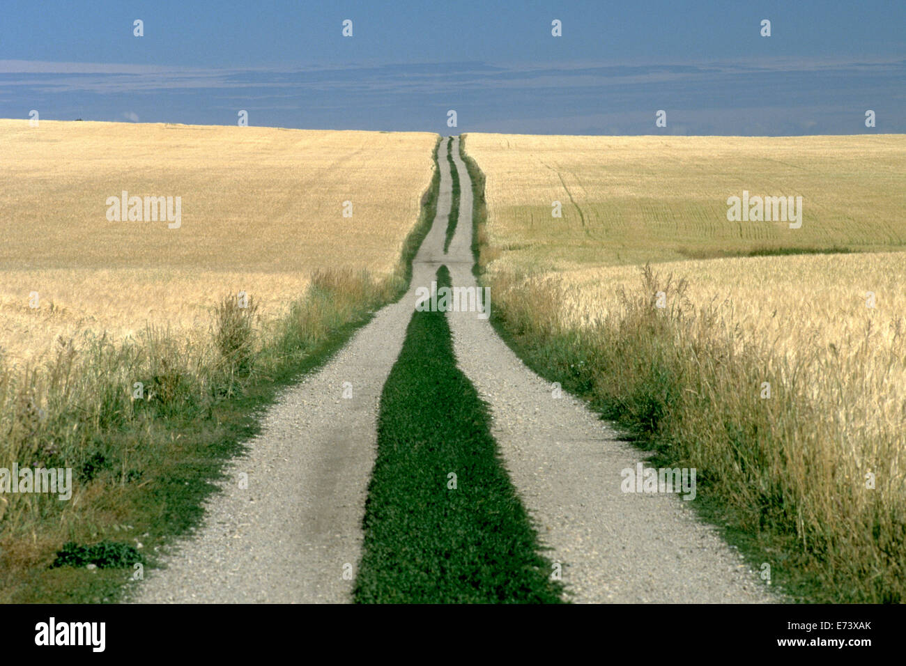 Country road agricultural field hi-res stock photography and images - Alamy