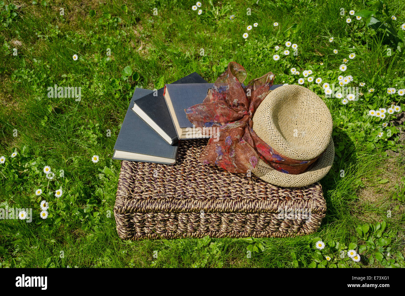 Wicker basket full of books between lawn grass and daisy flowers and