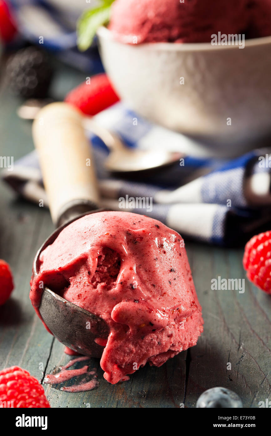 Homemade Organic Berry Sorbet Ice Cream Ready to Eat Stock Photo Alamy