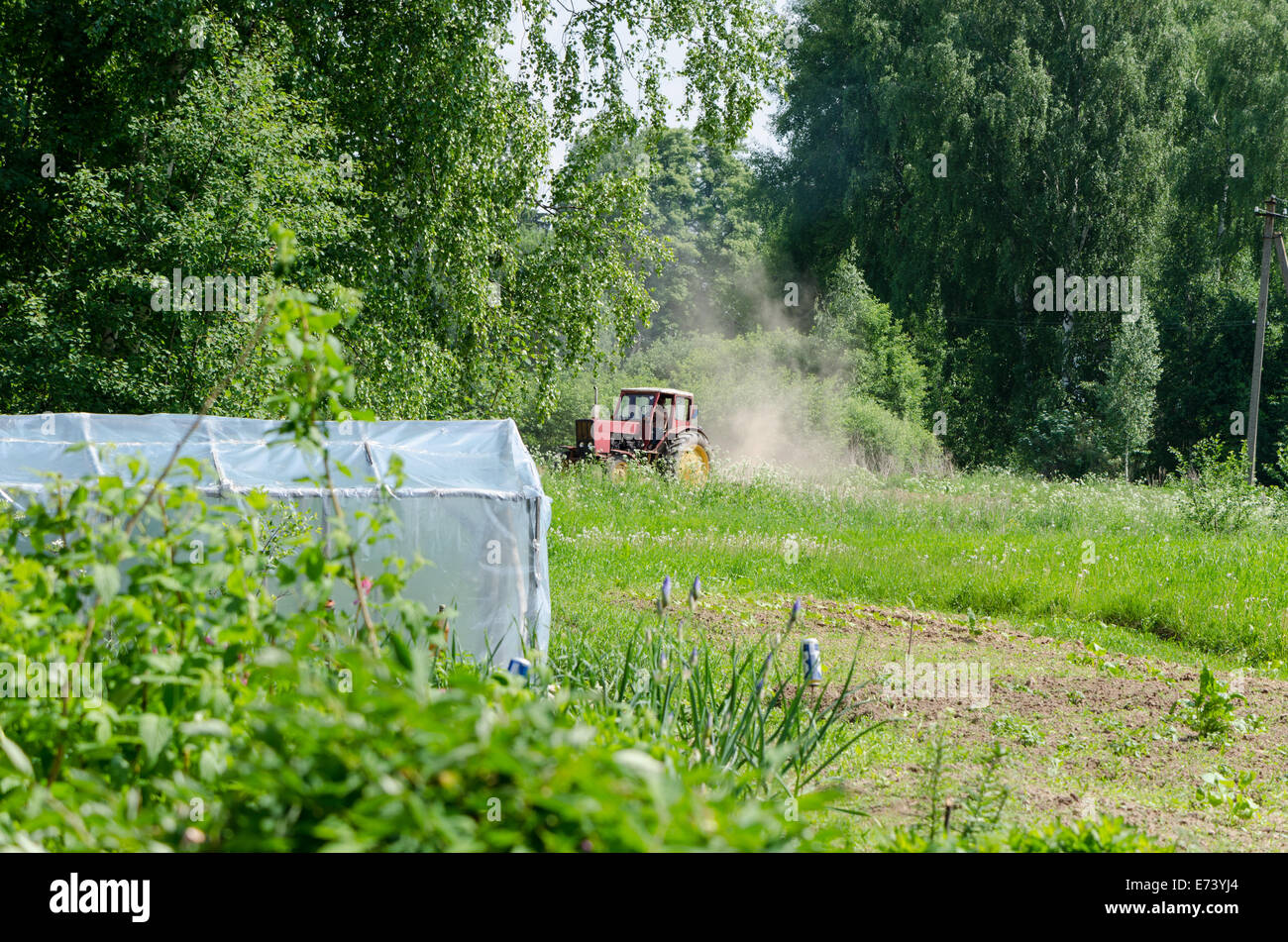 old small red tractor harrow the ground at the grove dust in wind near the homestead Stock Photo