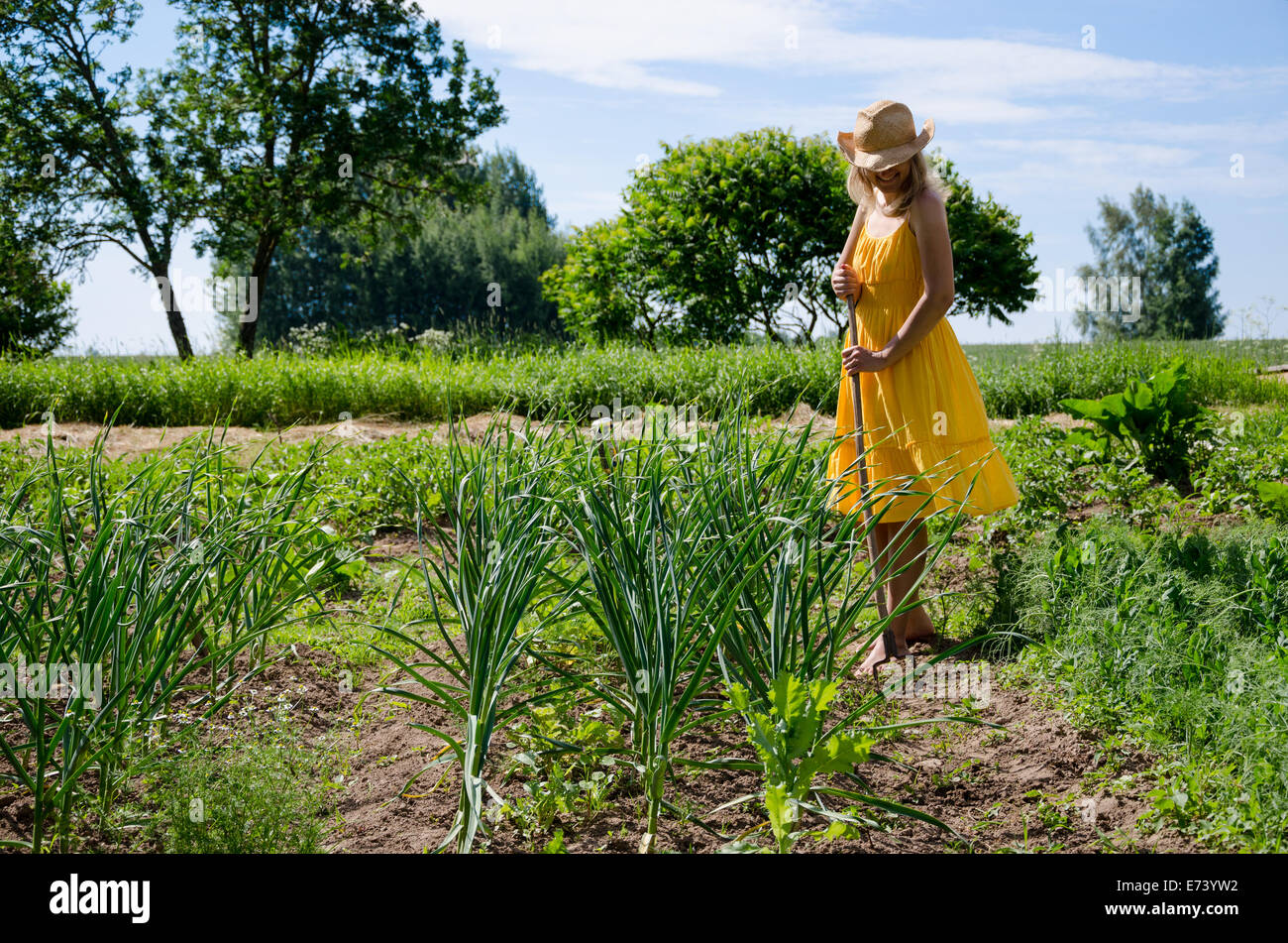 Barefoot gardener woman girl in dress and hat work in garden with hoe between garlic and pea plants. Stock Photo