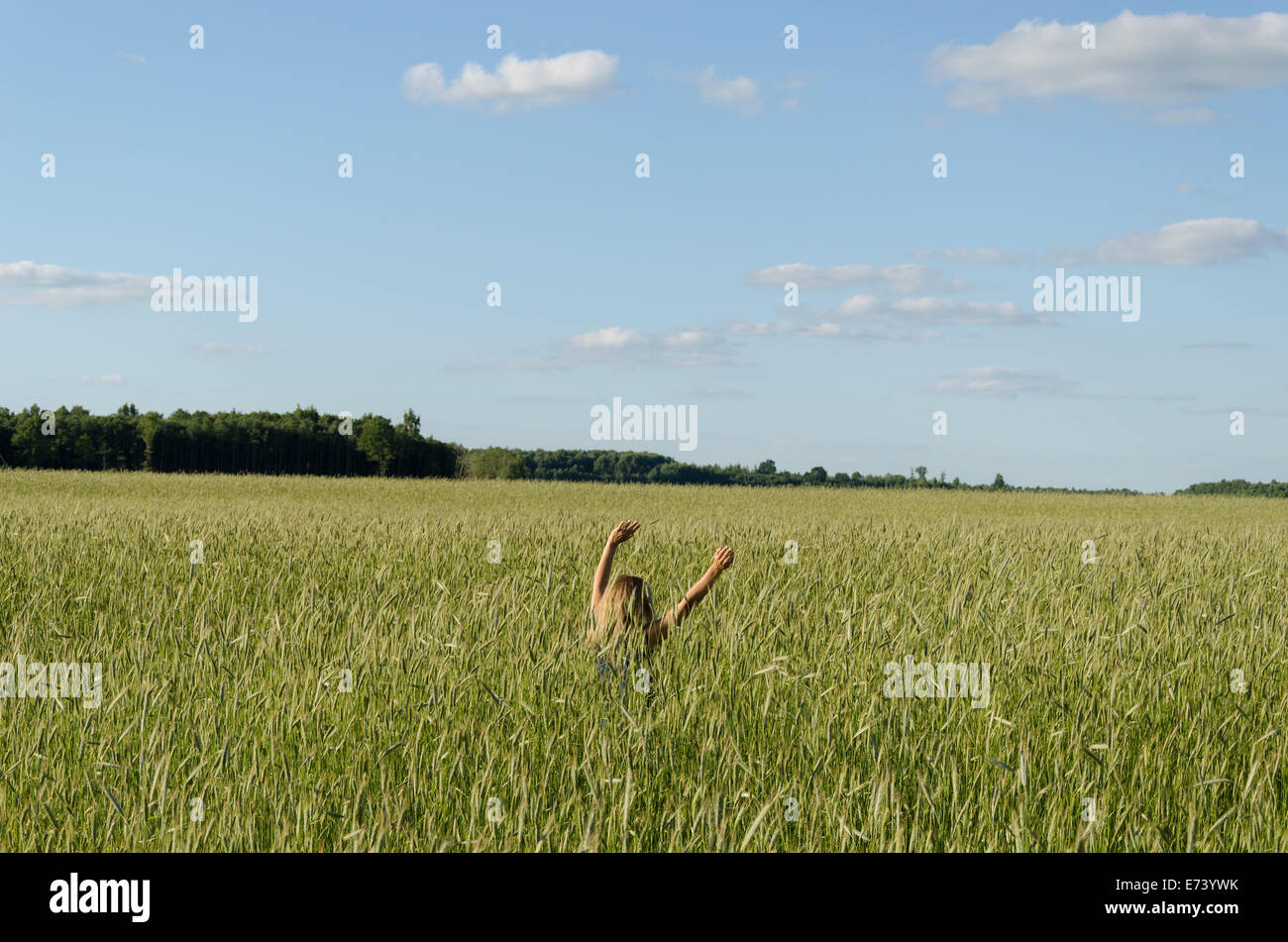 Farmer blond woman girl swing together with cereal wheat ear plants in wind. Feel sense of nature. Stock Photo