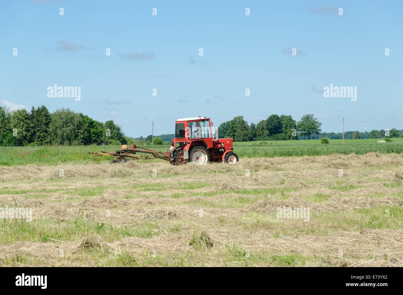 tractor heavy machine equipment ted hay dry grass in agriculture field. Preparing fodder feed