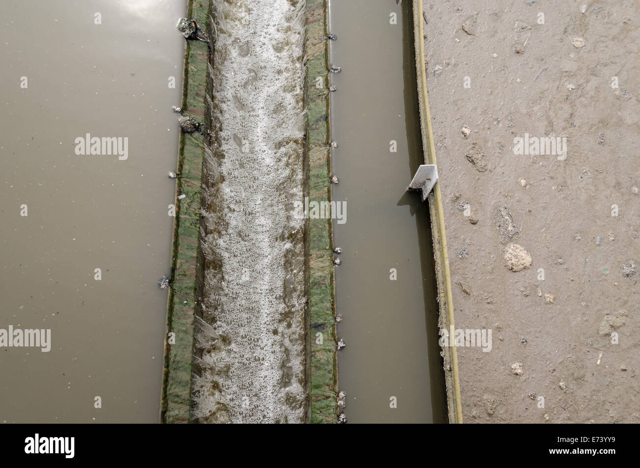 closeup radial settler at wastewater sewage water treatment plant. Stock Photo