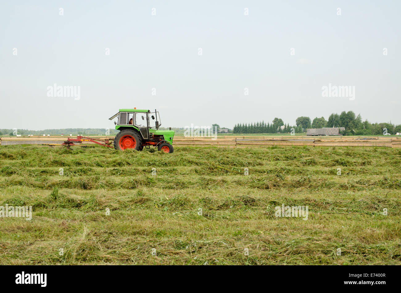 tractor turning raking cut hay with rotary rakes in agriculture field ...