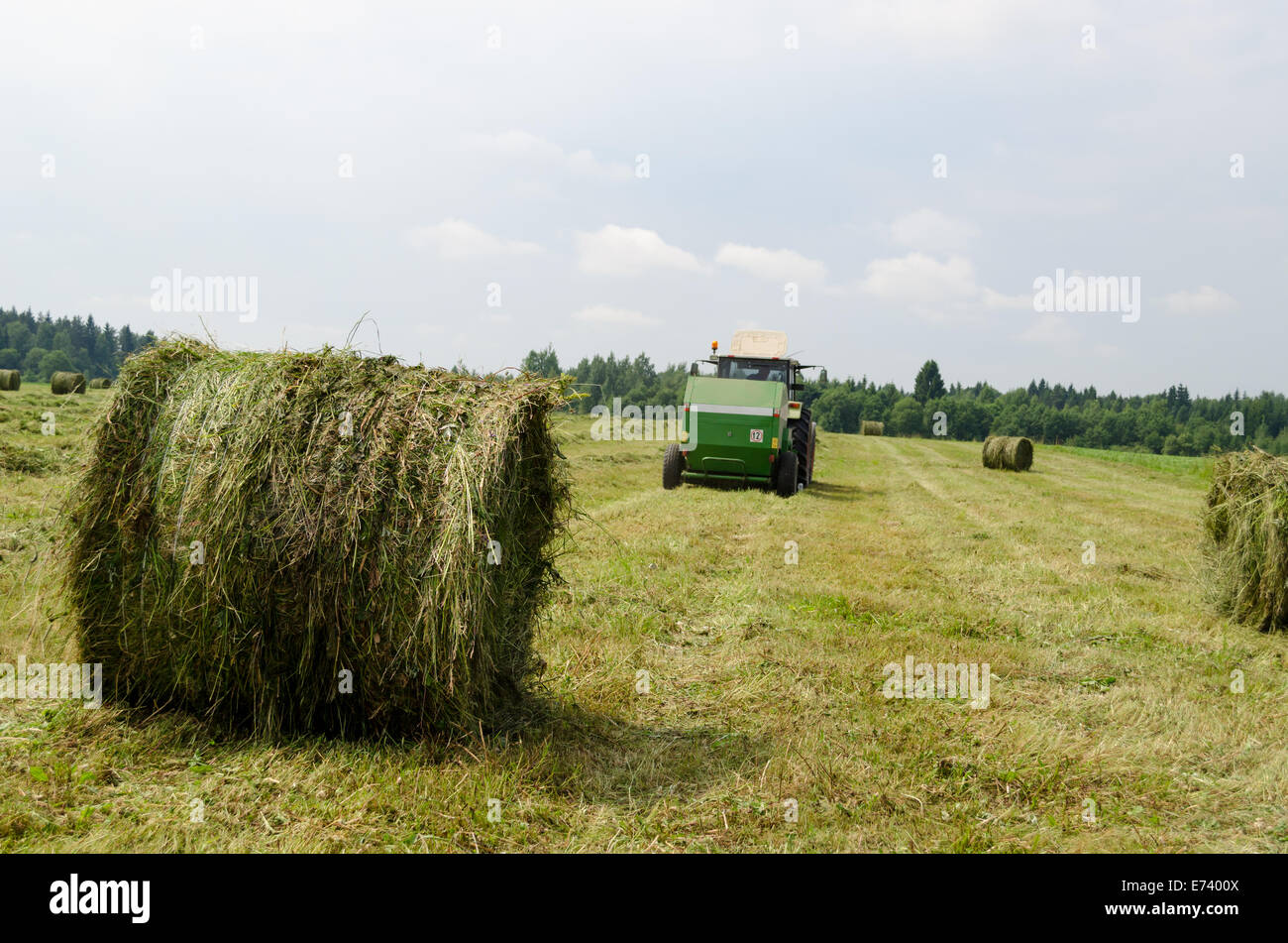 Straw bales and agricultural machine tractor collect gather hay in field near rural village houses. Stock Photo