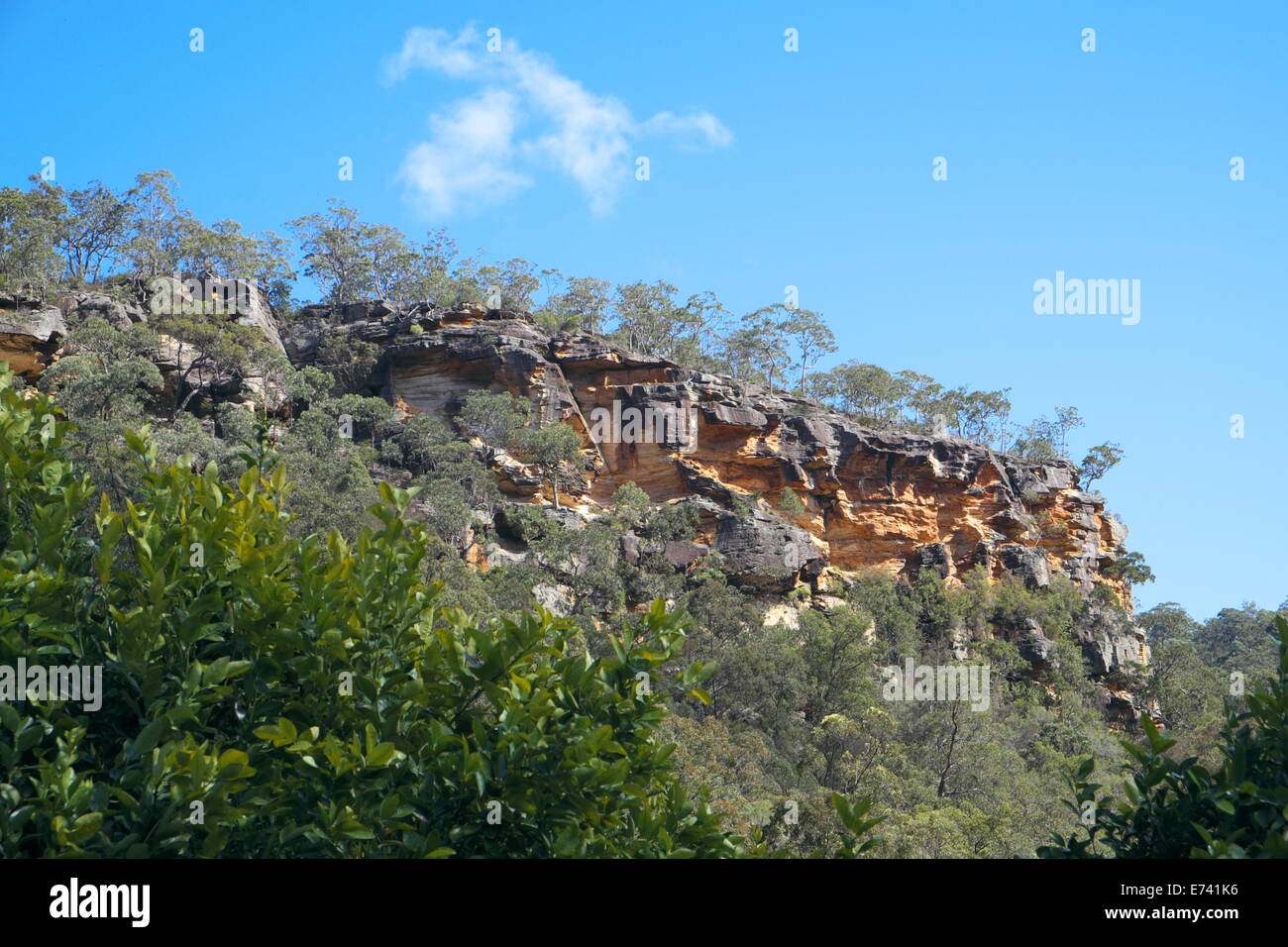 sydney sandstone is the common name for sydney basin hawkesbury