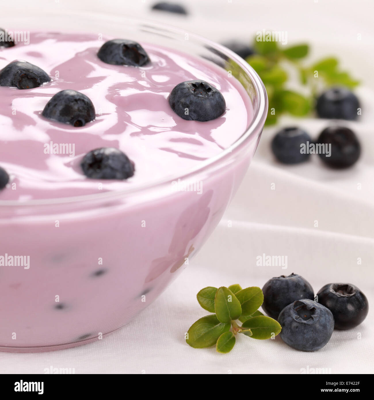 Blueberry yogurt in a glass bowl served with fresh blueberries Stock Photo