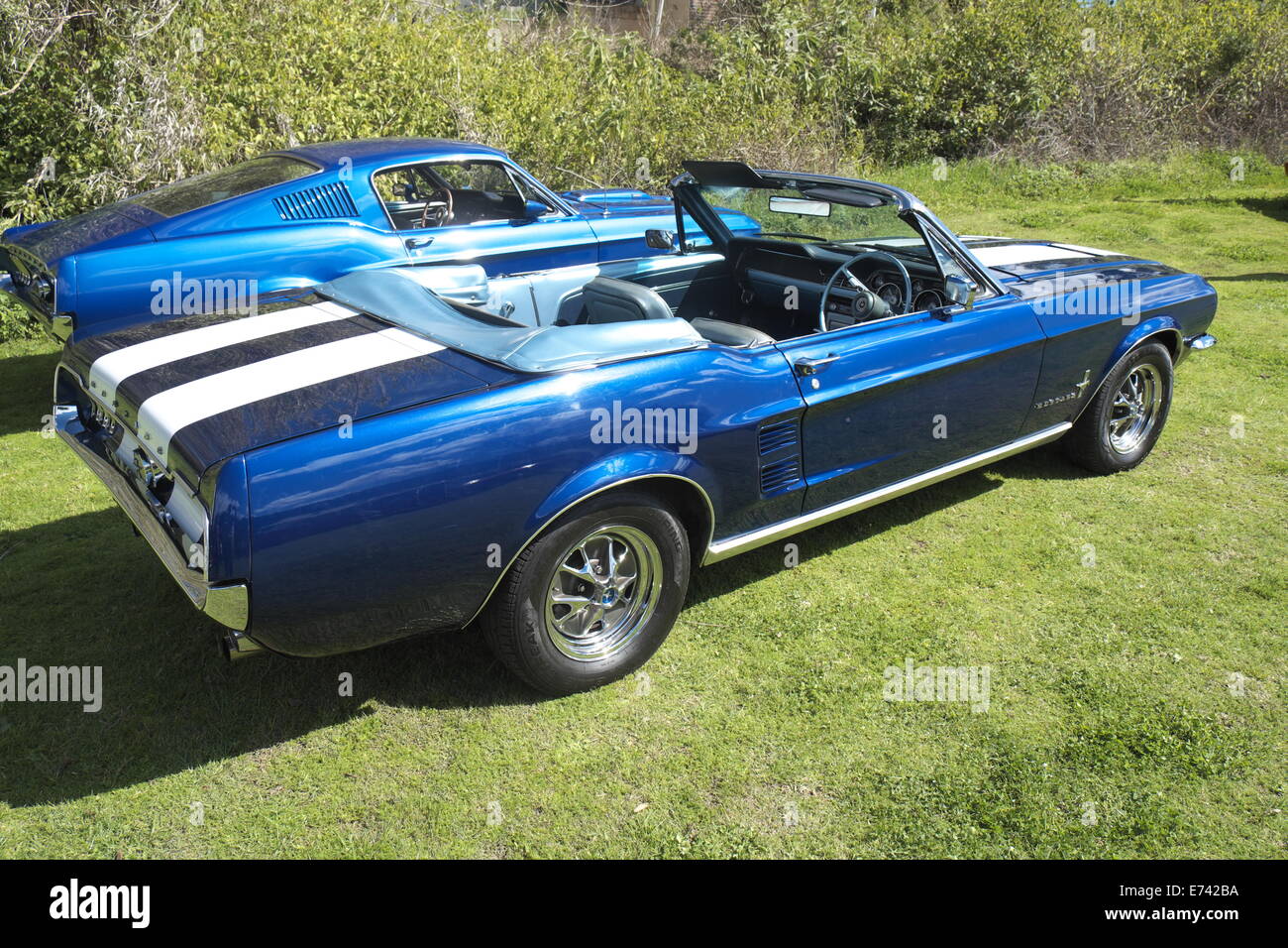 1967 ford mustang convertible and 1966 mustang coupe sydney classic car hire members,wisemans ferry,sydney Stock Photo