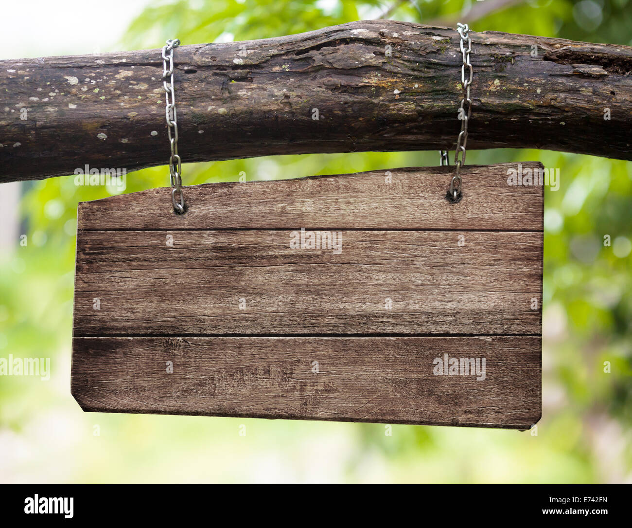 blank wooden sign board hanging on branch Stock Photo