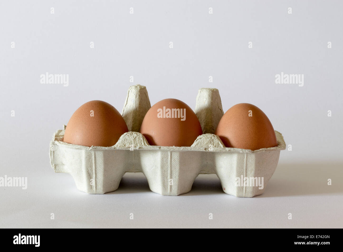 eggs in a standard card egg box Stock Photo