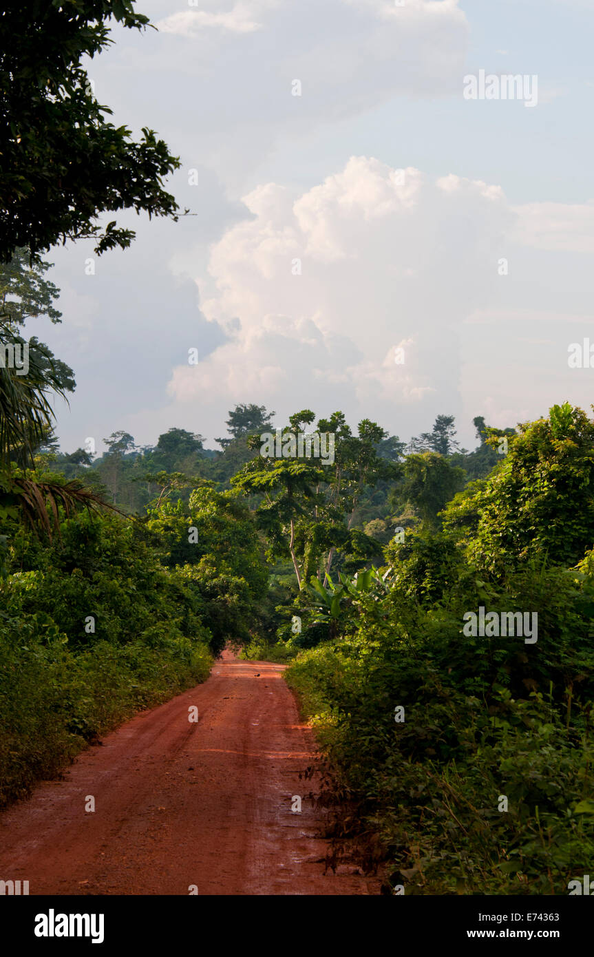 A typical African scene, a red track through the rain forest Stock Photo