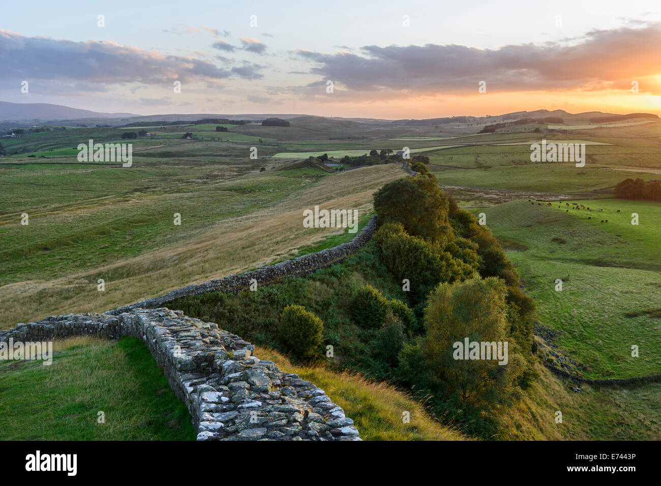 Hadrian's Wall one of the spectacular landscapes in Northumberland National Park Stock Photo