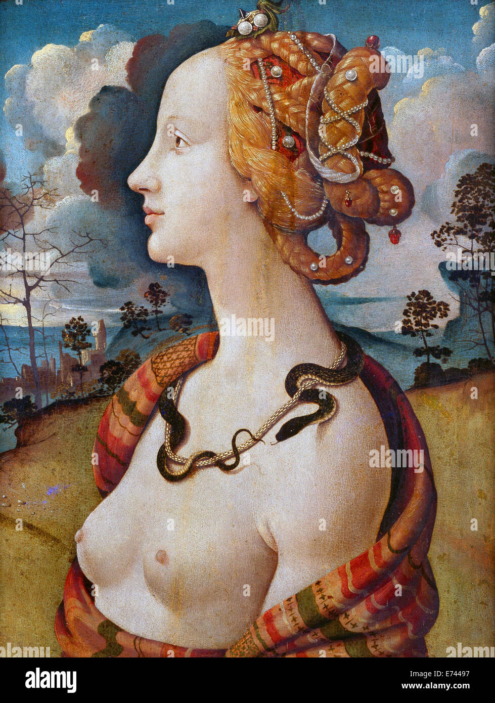 Portrait of Simonetta Vespucci - by Piero di Cosimo, 1490 Stock Photo