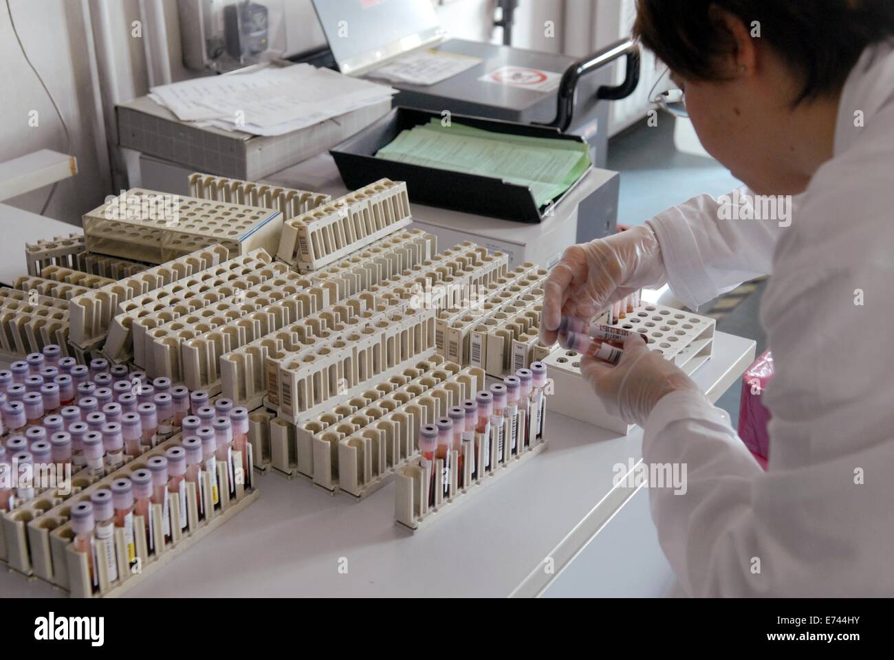 Sacco Hospital of Milan (Italy), unit of Immunohematology and Transfusion Medicine, laboratory for analysis of the blood Stock Photo