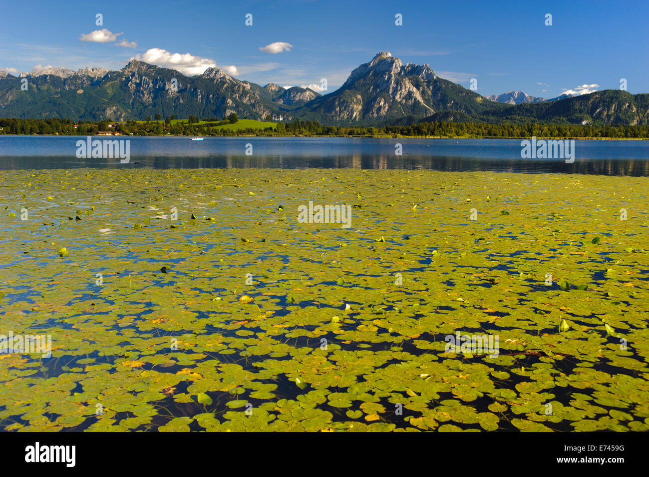 rural panorama landscape in Bavaria, Germany Stock Photo - Alamy