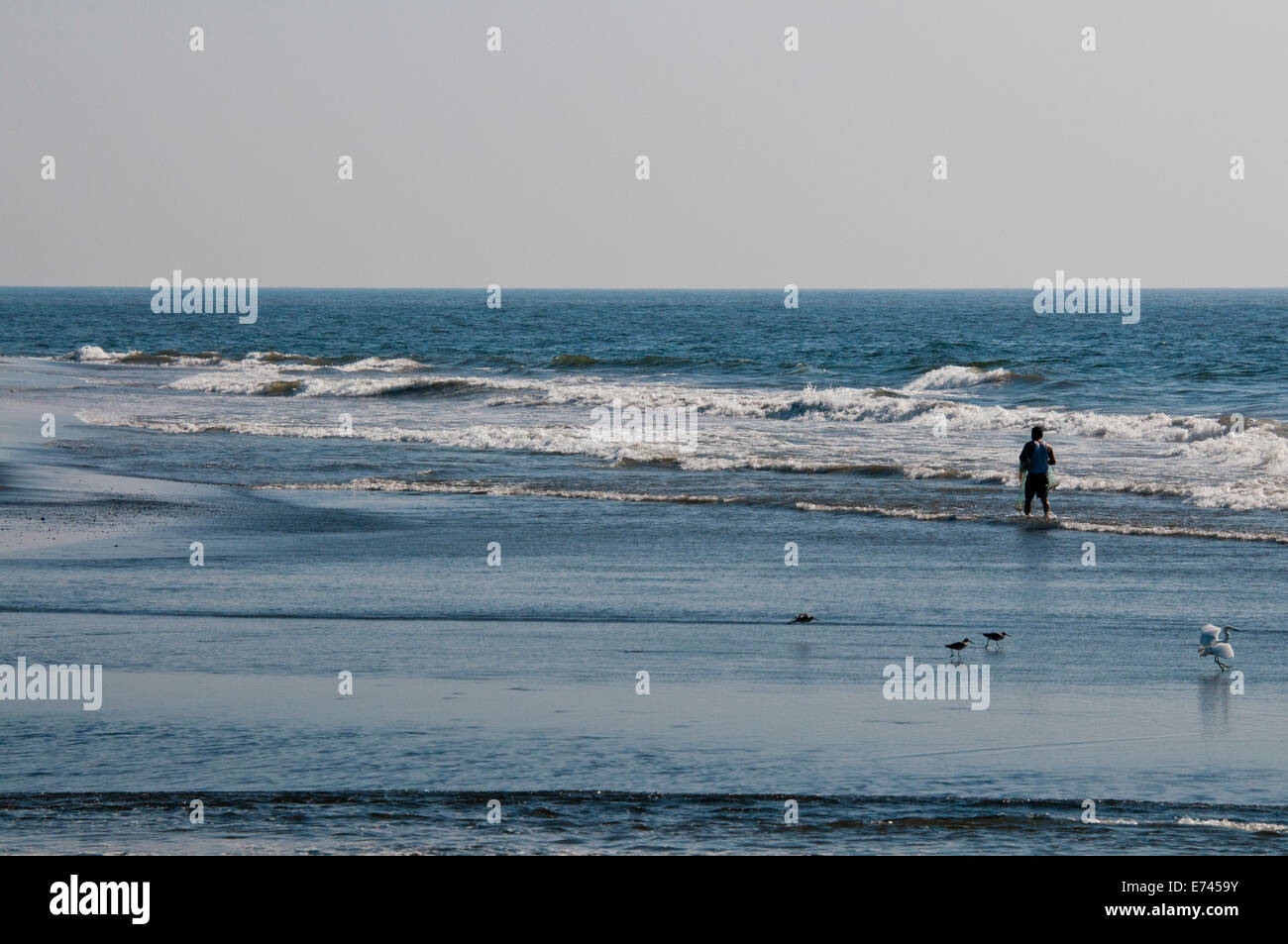 Fisherman walking through the retreating tide with his catch on the Mexican Pacific coast Stock Photo
