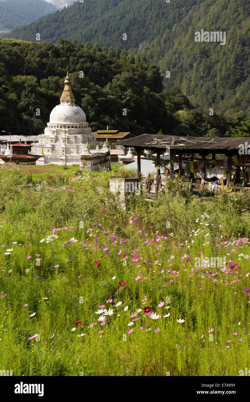 Wild flower from himalayas hi-res stock photography and images - Alamy