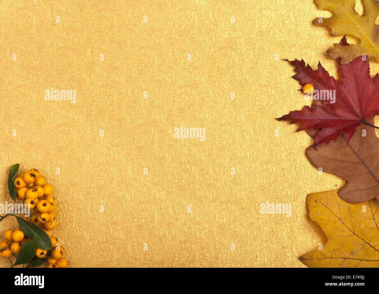 Autumn leaves on a golden background Stock Photo - Alamy