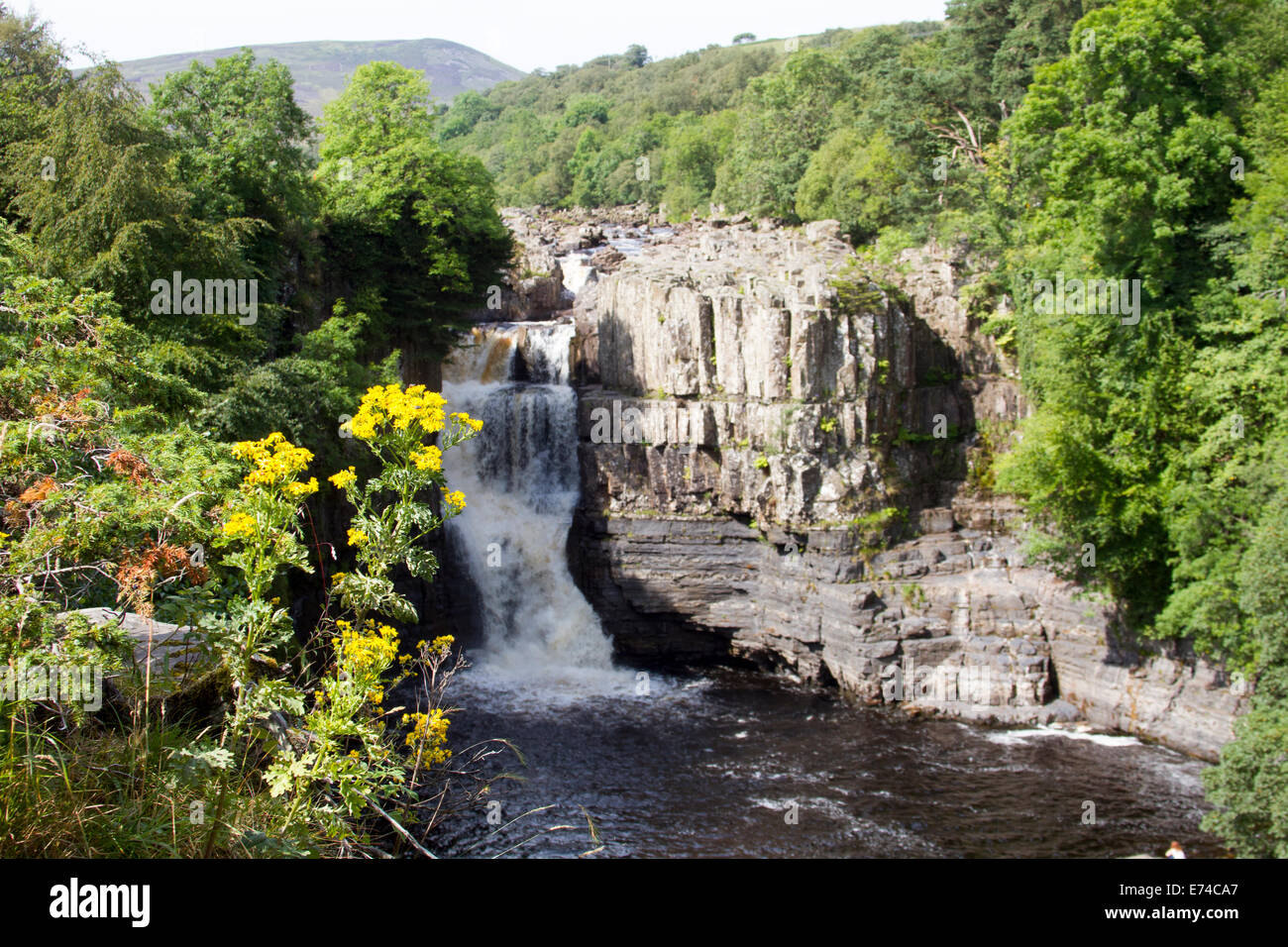High Force, Teesdale, County Durham Stock Photo