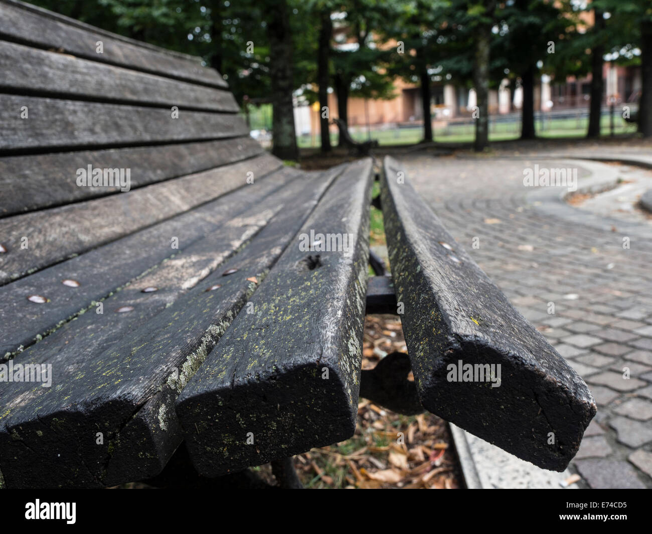 Bench at the park Stock Photo - Alamy