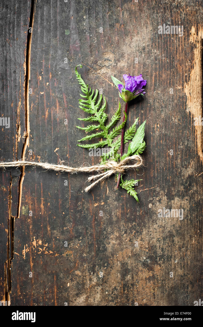 Beautiful summer meadow flower decoration on wooden background. Floral composition in rural vintage style Stock Photo