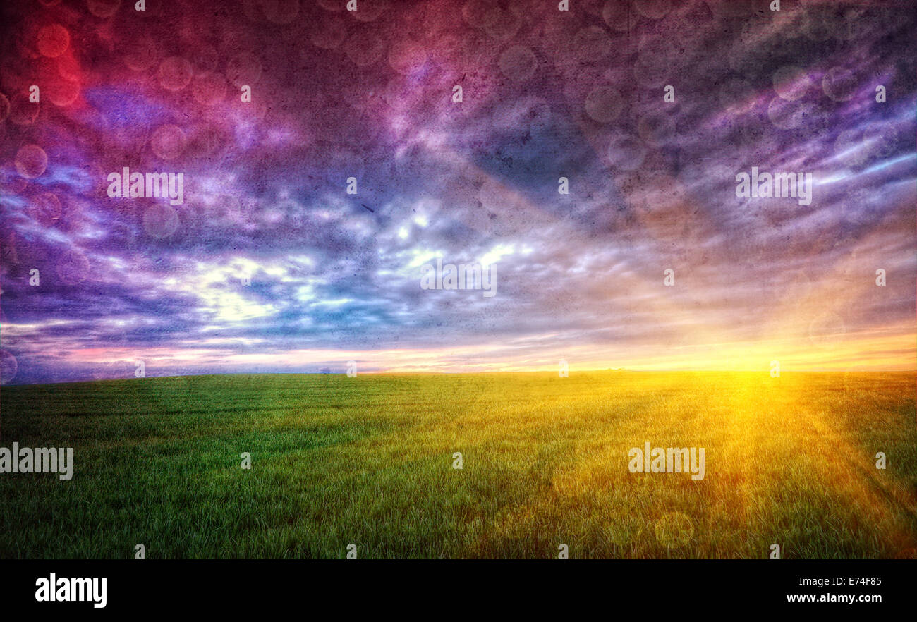 Sunset on the green cultivated field in retro style Stock Photo