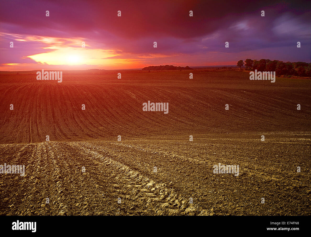 Undulating farmland at sunset Stock Photo