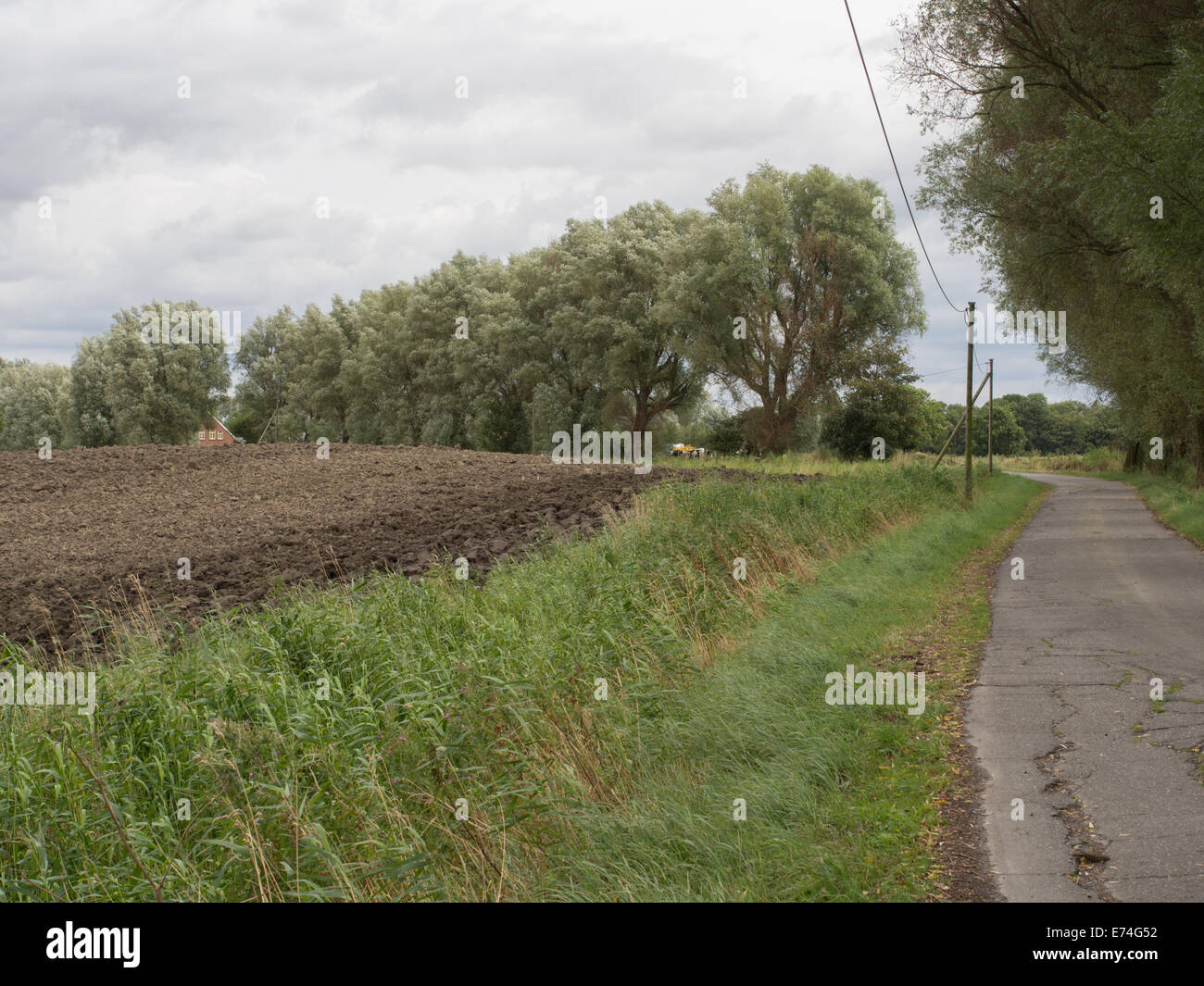 Landscape with old road in Ostfriesland Germany Stock Photo